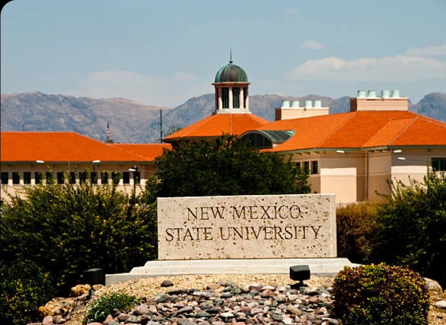 Dr. Paulette Vincent-Ruz