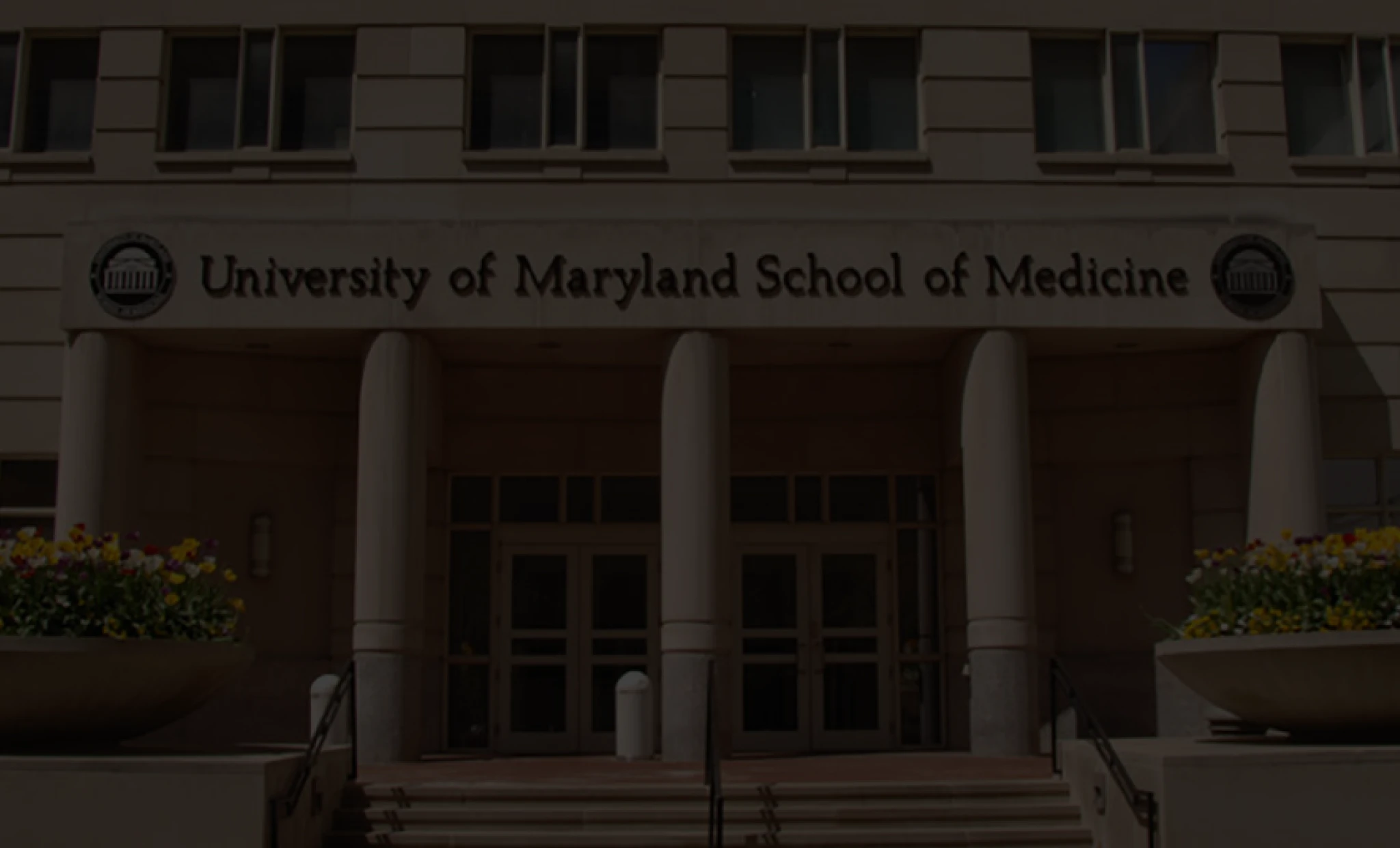 background-image-mobile