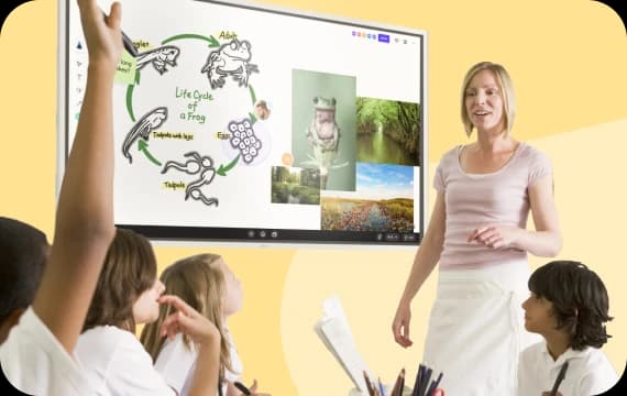 K12 Education