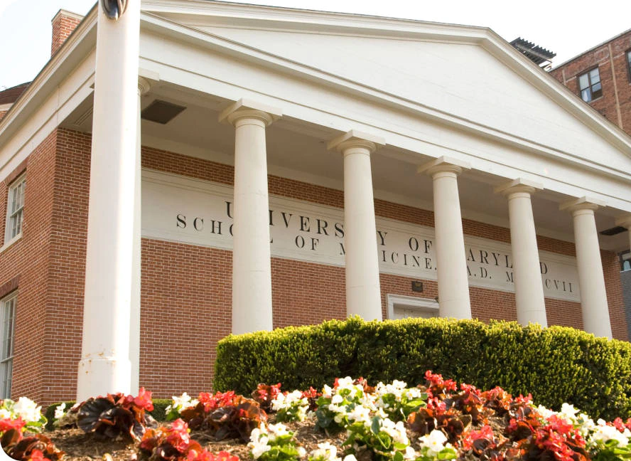 vibe whiteboard used in the whole learning