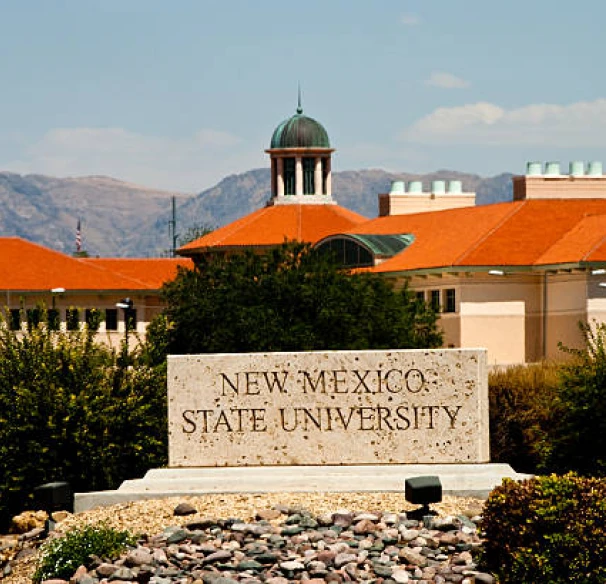 Dr. Paulette Vincent-Ruz