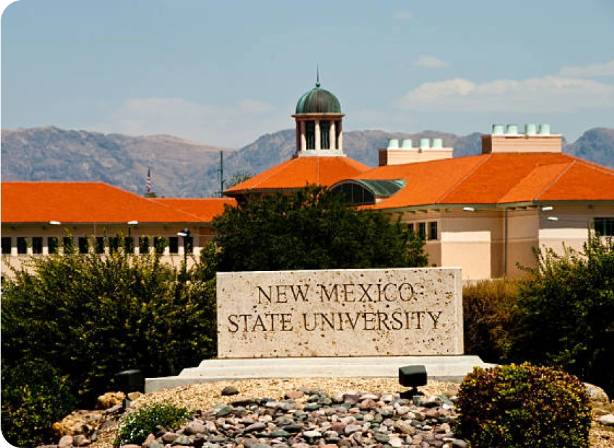 Dr. Paulette Vincent-Ruz